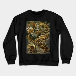 Ernst Haeckel Lacertilia Lizards Crewneck Sweatshirt